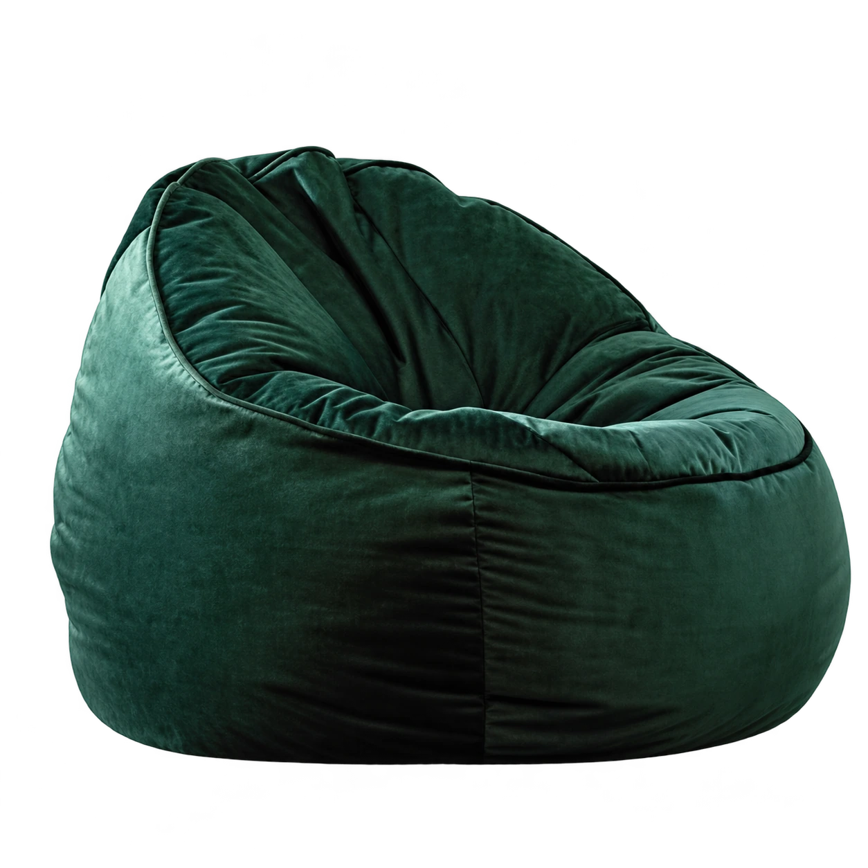 Bean Bag Pup 3